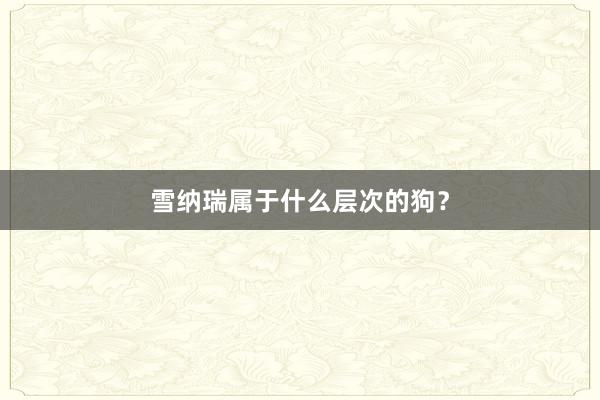 雪纳瑞属于什么层次的狗？